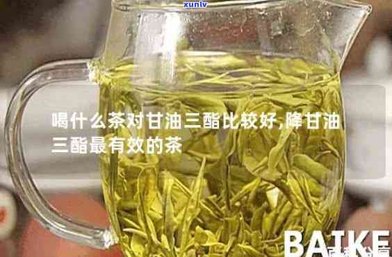 降低油三酯的茶叶品种推荐