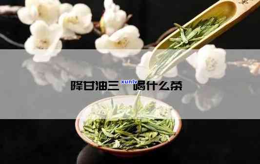 降低油三酯的茶叶是什么？种类与功效全解析