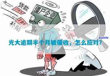 黑鲜皮翡翠手镯值钱吗？探究其价值与图片展示