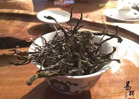 黄草坝古树茶属于哪个茶区，探寻美味：黄草坝古树茶的产地与茶区解析