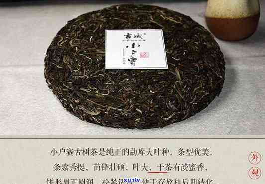 小户赛古树茶好不好-小户赛古树茶怎么样