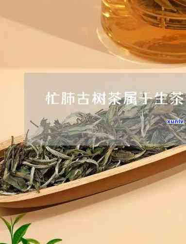 忙肺和古树茶哪个好-忙肺古树茶的功效