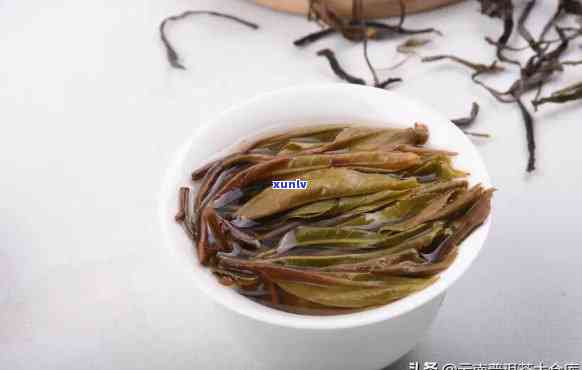 百花潭古树茶味道怪-百花潭古树茶口感