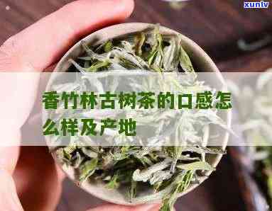 香竹林是什么茶？探究其起源与特点