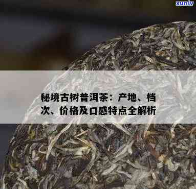 秘境古树茶特点口感-秘境古树茶特点口感介绍