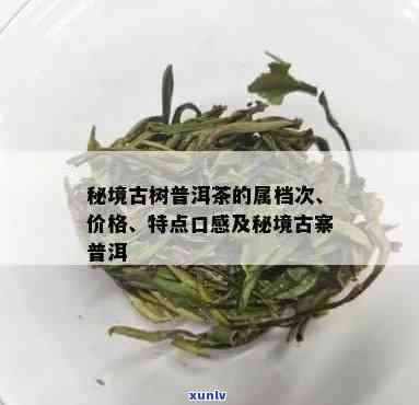 秘境古树茶特点口感-秘境古树茶特点口感介绍