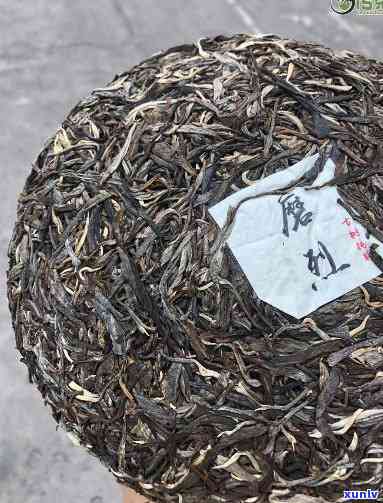 勐古树茶特点涩感-勐古树茶口感