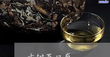 500年古树茶口感-500年古树茶口感怎么样