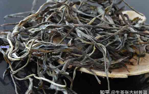 500年古树茶口感-500年古树茶口感怎么样