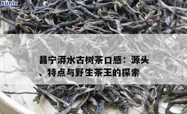 漭水古树茶口感-漭水古树茶特点