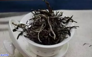 野人山古树茶的口感-野人山古树茶的口感是什么