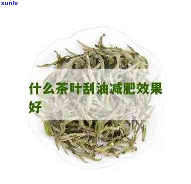 刮油的茶叶有哪些?-刮油的茶叶有哪些