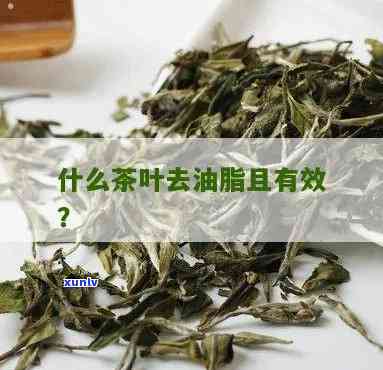 刮油的茶叶有哪些?-刮油的茶叶有哪些