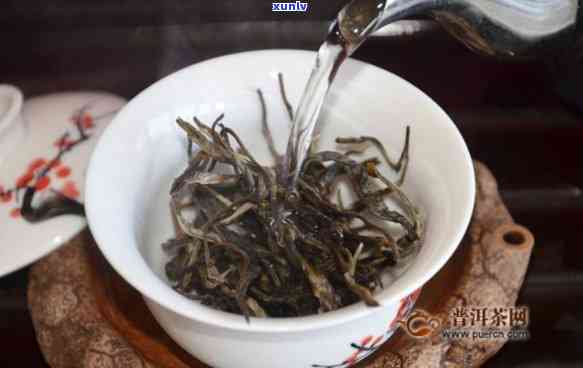 同庆河古树茶是高杆-同庆河高杆古树茶特点