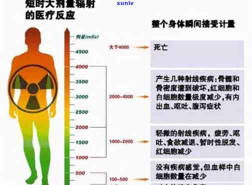 一次辐射不能超过多少剂量、次数和时长？