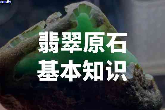 翡翠原石知识讲解，探秘翡翠原石：全面解析其知识与价值