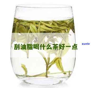 喝哪种茶叶能刮油脂-喝哪种茶叶能刮油脂呢