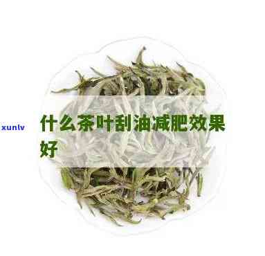 喝哪种茶叶能刮油脂-喝哪种茶叶能刮油脂呢