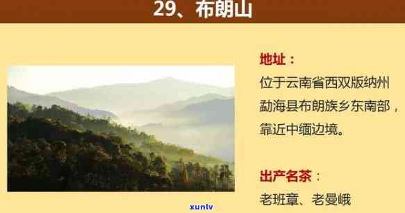 云南省勐海县的开茶山上阅读答案，探索云南勐海县开茶山：阅读之旅的答案