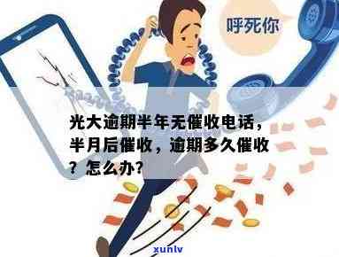 光大逾期半年无  ？半月已被，解决方案在此！