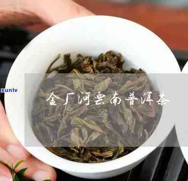 金厂河普洱茶，品尝金厂河普洱茶：独特口感与历文化