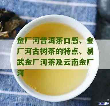 普洱茶品质与价格关联性：基于物含量分析的研究