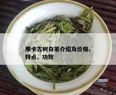 那卡古树茶口感特点-那卡古树茶有哪些特点