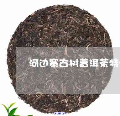 河边寨古树茶特点介绍：揭秘古老韵味与独特口感