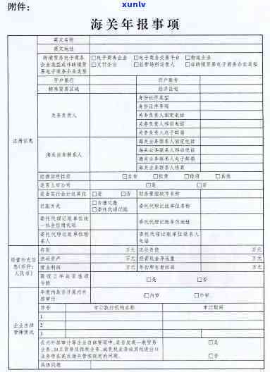 海关年报截止时间是什么时候？请填写正确截止日期