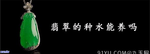 翡翠的种水可以养出来吗？探究视频与图片中的可能性