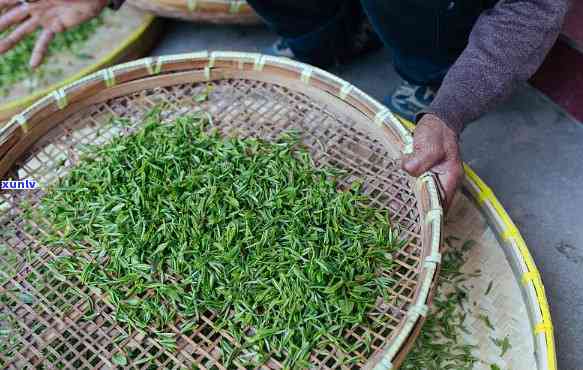 翡翠市场震荡：冰种蓝水宝石价格为何突然下跌？