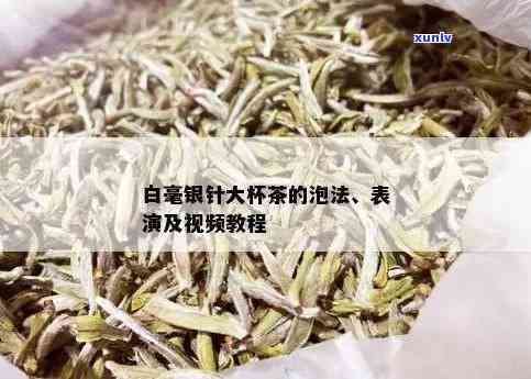 大白毫茶叶 *** 视频教程：全过程详解