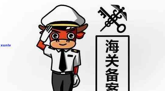 海关年报逾期长沙怎么办，解决海关年报逾期疑问：在长沙该怎么做？