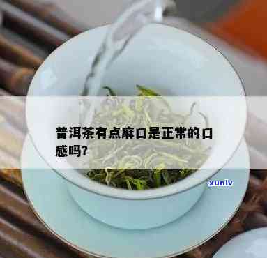 为什么有的茶叶麻嘴有味道，揭示茶叶麻嘴现象：为什么有些茶叶会有特殊的味道？