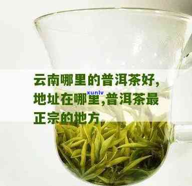 昆明哪里茶叶最正宗-昆明哪里茶叶最正宗