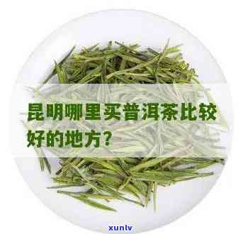 昆明哪里茶叶最正宗-昆明哪里茶叶最正宗