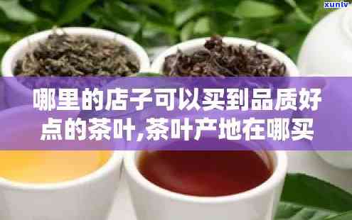 州哪里买茶叶正宗的？推荐几家信誉好、品种多的茶店！