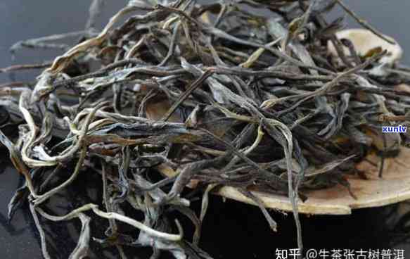 勐库古树茶怎么样，深度解析：勐库古树茶的品质与口感