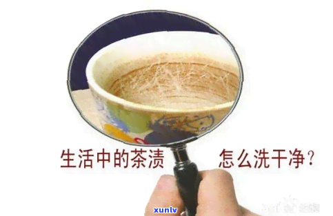 茶叶滤网清洗茶渍 *** 与教程