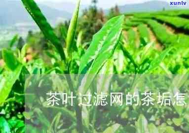 茶叶滤网清洗茶渍 *** 与教程