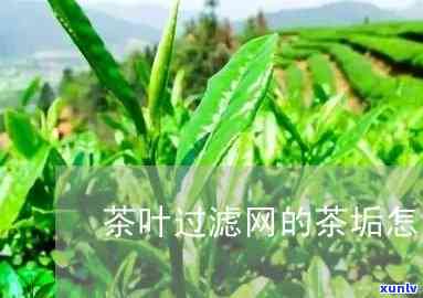 茶叶滤网怎么洗茶渍-茶叶滤网怎么洗茶渍的