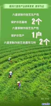 信用卡逾期超过五万了怎么处理：90天内5万元逾期后果详解