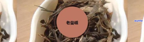 一种很苦的茶叶，探究：深入了解一种口感独特的苦茶