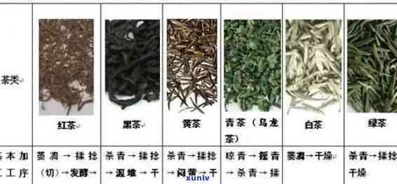 卷起来的茶叶叫什么名字，探究茶叶的新名称：卷起来的茶叶应该叫什么？