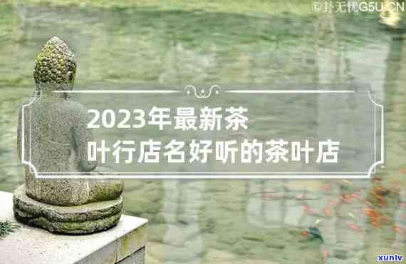 2023年最新流行茶叶名称大全：精选四字好听茶名与高清图片