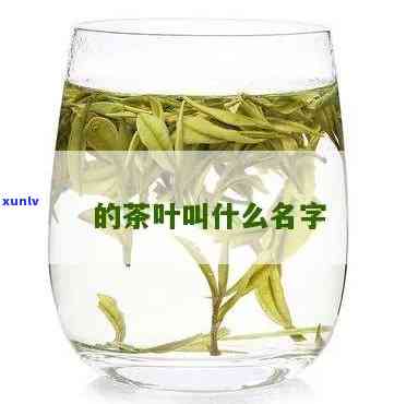 今年流行的茶叶名字-今年流行的茶叶名字有哪些