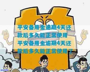 平安备用金逾期2天-平安备用金逾期2天会怎样