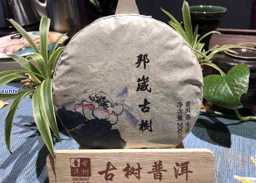 澜沧邦崴古树茶价格，探寻古老韵味：澜沧邦崴古树茶价格解析