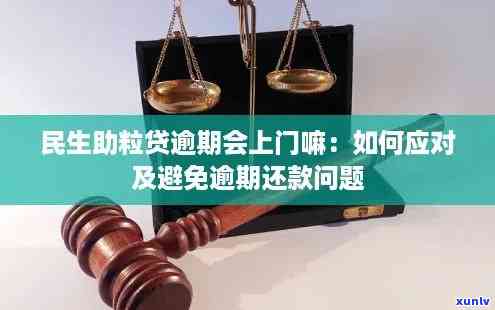 民生助粒贷逾期6万怎么办，民生助粒贷逾期6万元：怎样应对和解决？