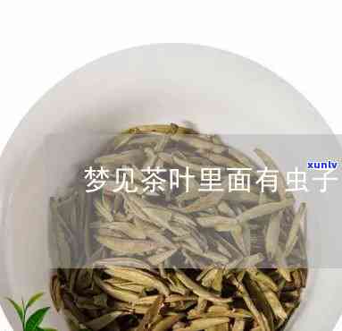 梦见茶叶里面有虫子-梦见茶叶里面有虫子爬出